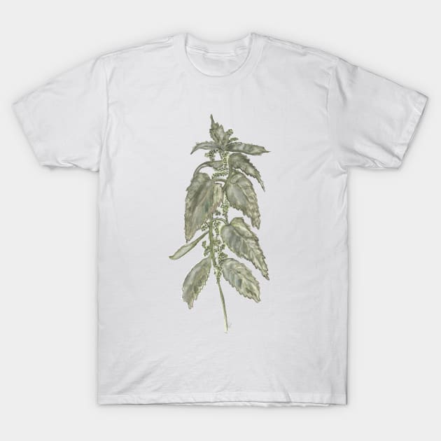 Nettle T-Shirt by msmart